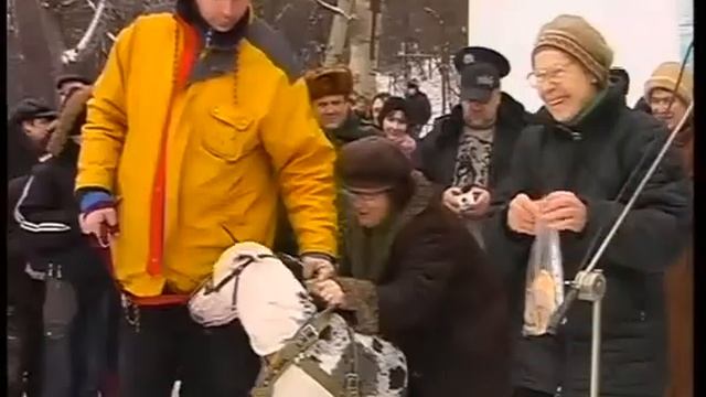 Впервые собаки награждены медалями смотреть онлайн