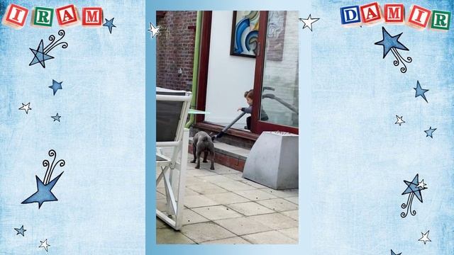 Внуки: Ирам-Дамир 2021 смотреть онлайн