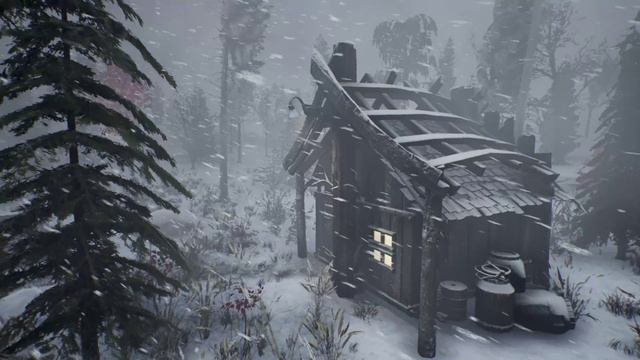 ЗВУКИ ВЕТРА для СНА - Завывание ветра и метель - Зимние бури и ледяной воздух вьюги смотреть онлайн