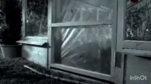 Kitekat - еда энергичных кошек (Борис на даче) (в конце: еда энергичных кошек на белом фоне) (1)