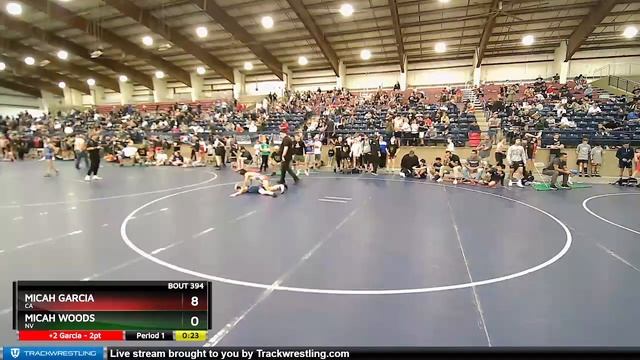 87 Lbs Cons. Round 2 - Micah Garcia, CA Vs Micah Woods, NV Ed1b смотреть онлайн