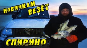 Первый РАЗ и Сразу ПЯТЬ СУДАКОВ с лунки! Зимняя рыбалка в СПИРИНО. СУДАК и ЩУКА НА ВИБЫ зимой 2024