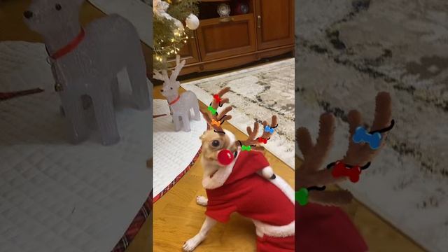 С Новым годом!!!! смотреть онлайн