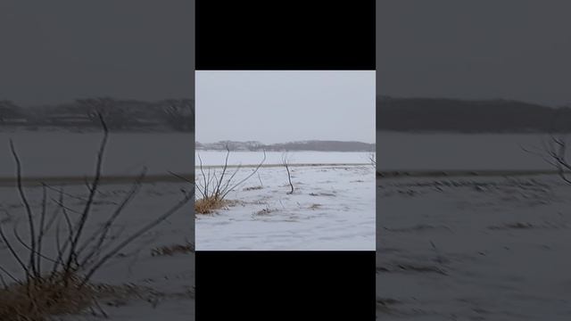 1 января шашлык из свинины с кабачками на углях у костра смотреть онлайн