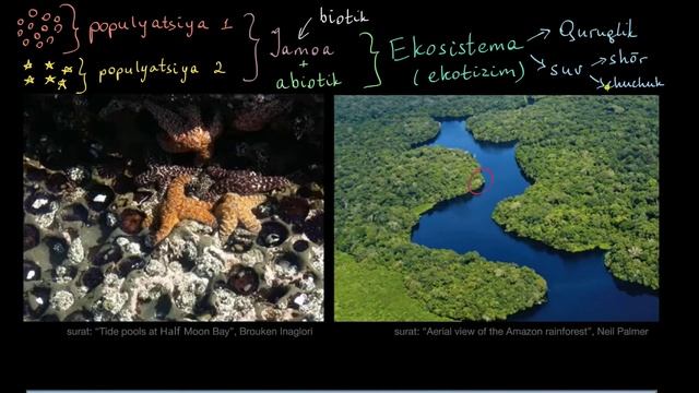 Ekosistema Va Biomlar | Ekologiya | Biologiya