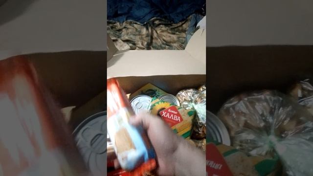 Новогодний подарок