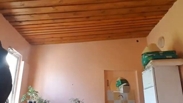 Кирилл добивает Даника смотреть онлайн