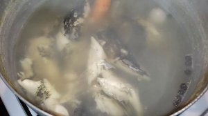 Холодец из щуки.