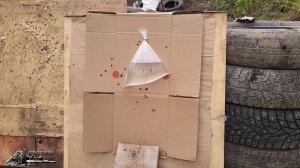 Тепловизионный прицел ARKON ALFA ll ST 25. Реальные возможности