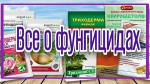 Фунгициды