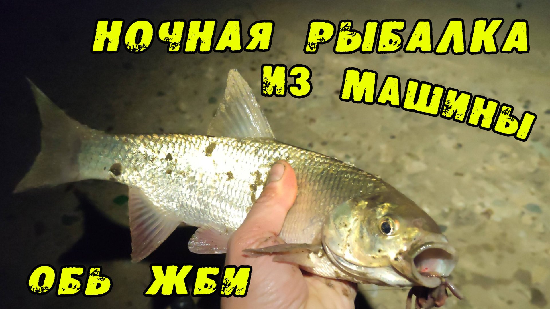 Ветер! Мороз и Снег! Что может быть Хуже на рыбалке? Ночная Рыбалка из машины. Река Обь. Язь Лещ смотреть онлайн