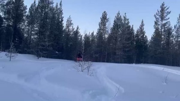 1 января 2025 Аодес 1000 SWT