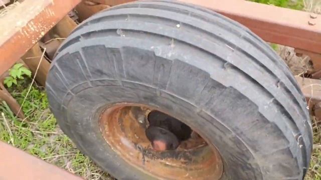 Борона дисковая тяжёлая БДТ 4 Димкатор экспресс-обзор от Андрея Абросимова смотреть онлайн