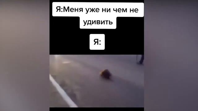 Меня уже ни чем не удивить смотреть онлайн