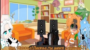 {Реакция Разноцветных Котов на видео про себя} 2/2