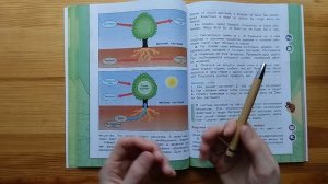 Как мы занимались по учебнику ОМ (3 класс, I полугодие)