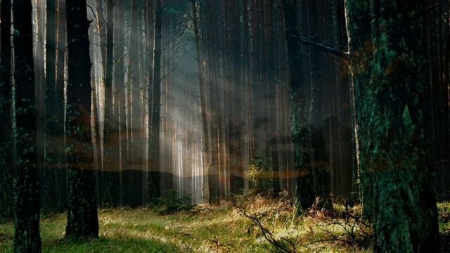 Beautiful Relaxing Music For Stress Relief Meditation Music, Sleep Music, Ambient Study Music 1080P
