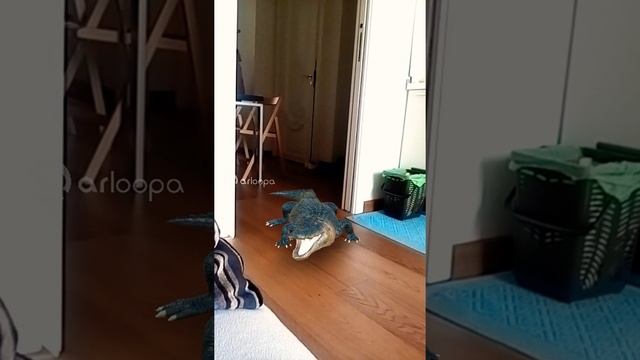 В мой дом ворвался крокодил! смотреть онлайн