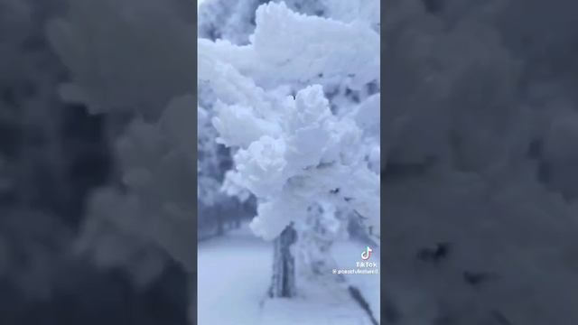 С новым годом, друзья! смотреть онлайн