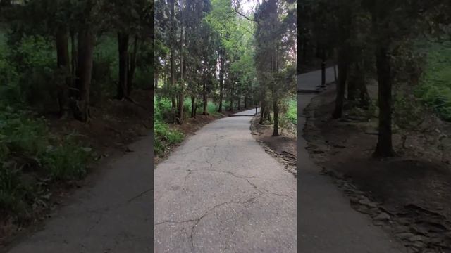 Минеральная вода в Кисловодске. Нарзанная галлерея смотреть онлайн