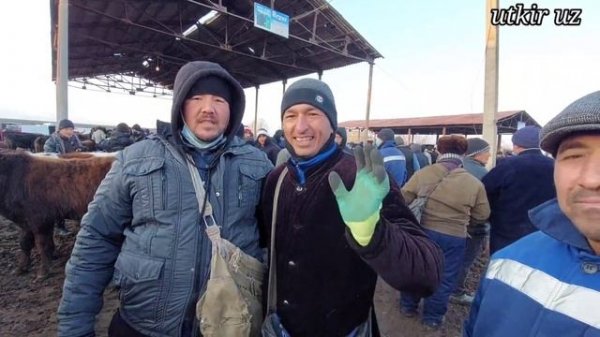 БОКМА БУКАЛАР НАРХИ САМАРКАНД ПАСТДАРГОМ ЖУМА БОЗОРИДА