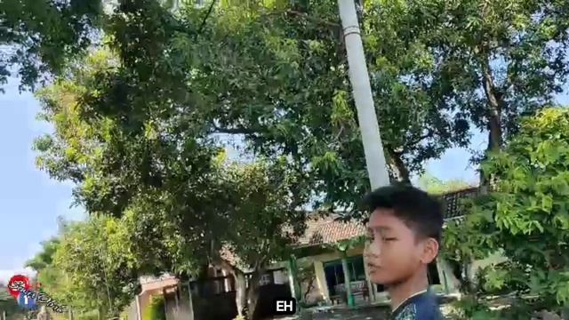 PADAHAL lagi Mudik tapi TANGAN GATAL Pengen Strike // Rejeki yang tertunda // diKampung NENEK смотреть онлайн