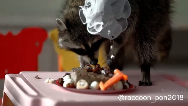 День рождения🎂🎉🎁 енота Хоси смотреть онлайн
