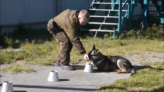 ВЫБОРКА ВЕЩИ смотреть онлайн