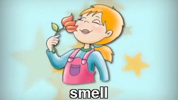 Starlight Starter Module 8 My Senses 1