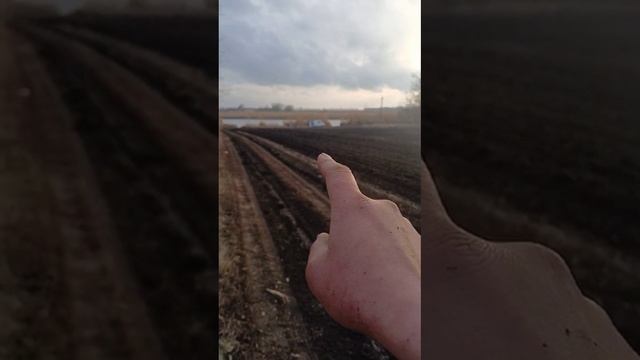 Дубль два! Кубанские козни. 😳 смотреть онлайн