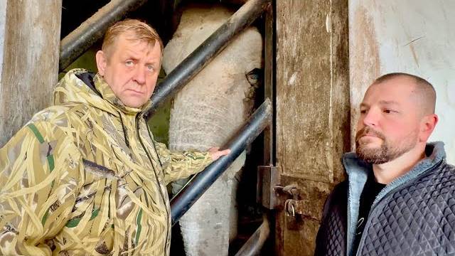 ЖИВИ, Джени, ЖИВИ! Анализы любимой слонихи совсем не утешительные! Джени ничего не ест и не пьет! смотреть онлайн