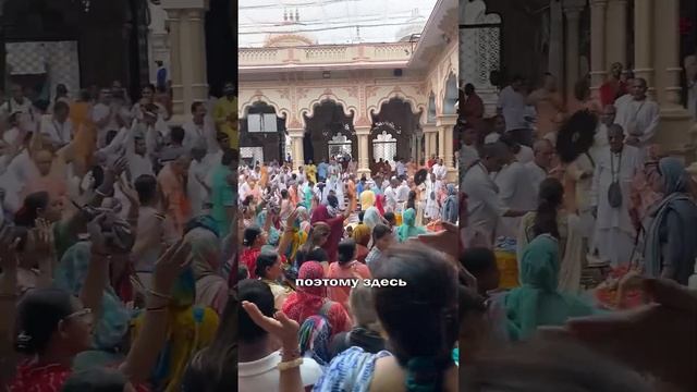 Мини-влог из Индии часть 3. Вриндаван. Паломничество и кулинария.