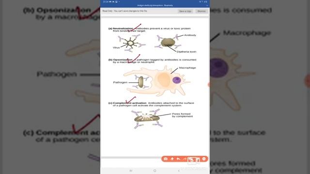 Antigen Antibody Reaction смотреть онлайн