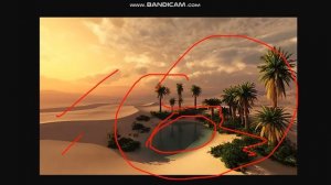 Flora and Fauna of SAHARA DESERT | Life in the Deserts| Class 7 Geography | Chapter 9 | NCERT