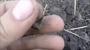 Коп 6/26.ЧТО ХРАНЯТ В СЕБЕ НЕБИТЫЕ СЕЛА.РЕДКИЕ КРЕСТИКИ.СЕРЕБРО.МОНЕТЫ.X-TERRA 705