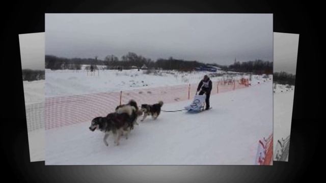 скорость смотреть онлайн