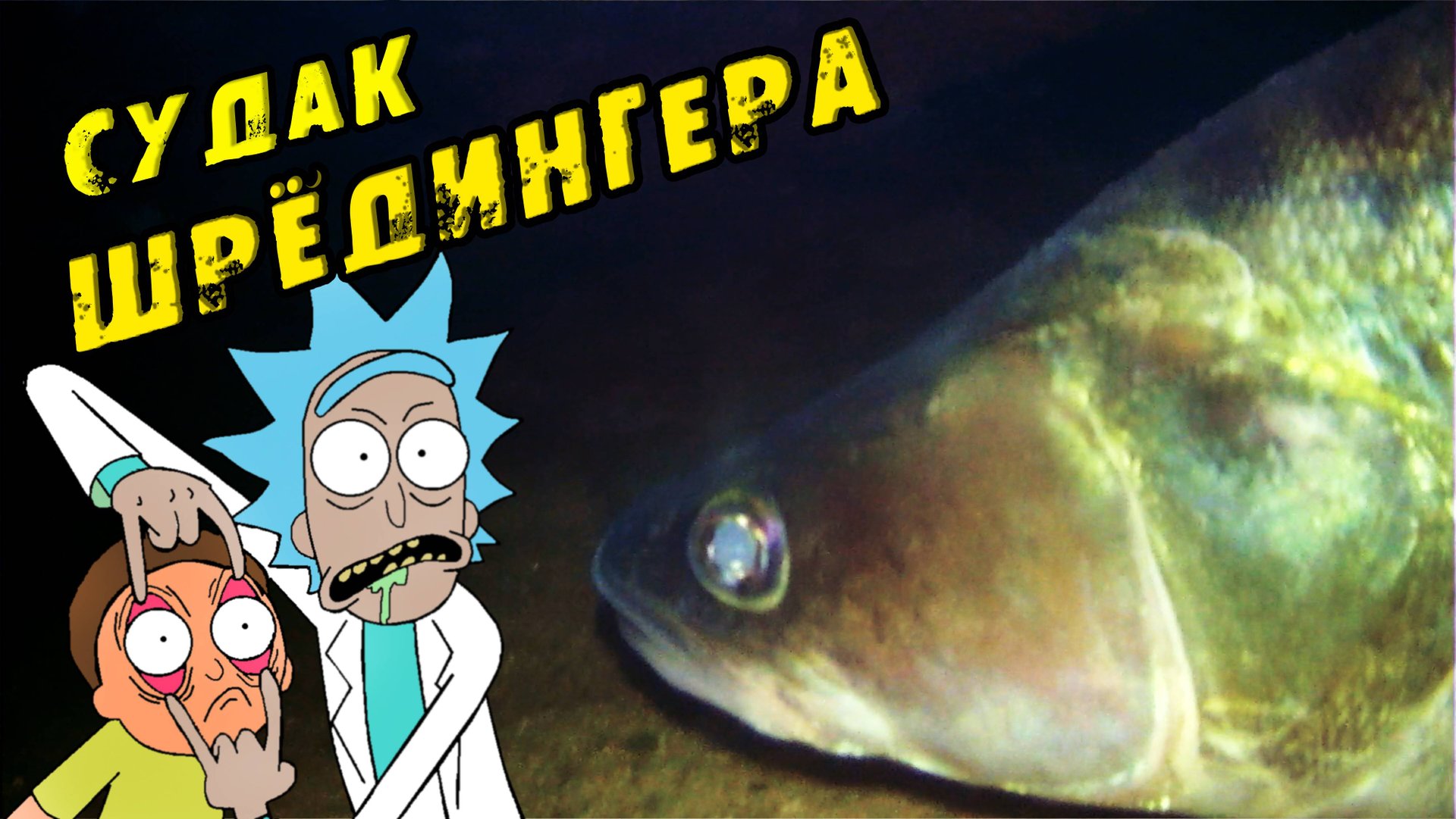 Забурились в КОРЯЖНИК и Офигели!!! Огромные СУДАКИ не хотят жрать! Зимняя рыбалка на СУДАКА 2024 смотреть онлайн