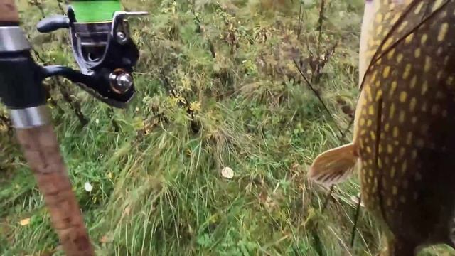 Рыбалка в красивом месте с ночёвками. Нашли всё таки щуку. Живём на озере смотреть онлайн