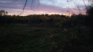 Выстрел по голове. Охота на ЛОСЯ в ГОН.