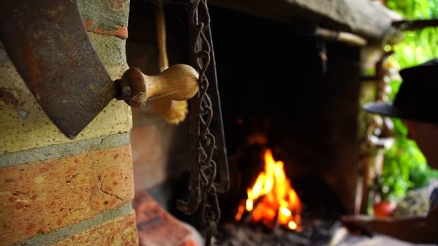 DOG KEBAB - WOULD YOU TRY THAT??? смотреть онлайн