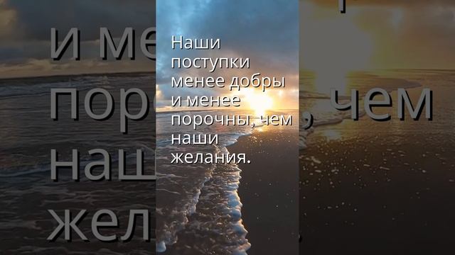 Цитаты и Афоризмы смотреть онлайн