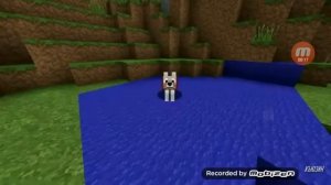 Сабака. Писала. Сабака. Какала. Сабака. Села и. Заплакала