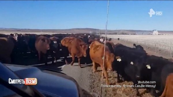 Смотреть всем 12.03.2024