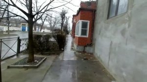 Walking Makhachkala.Titova street (January 30, 2021)