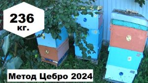 Медосбор по методу Цебро в Северном Подмосковье в 2024 году.