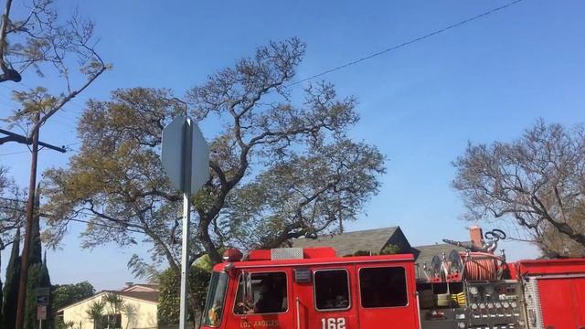 Lacofd engine 162 смотреть онлайн