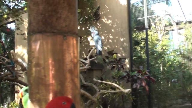 Утро в раю 1ч..Бали .Индонезия.