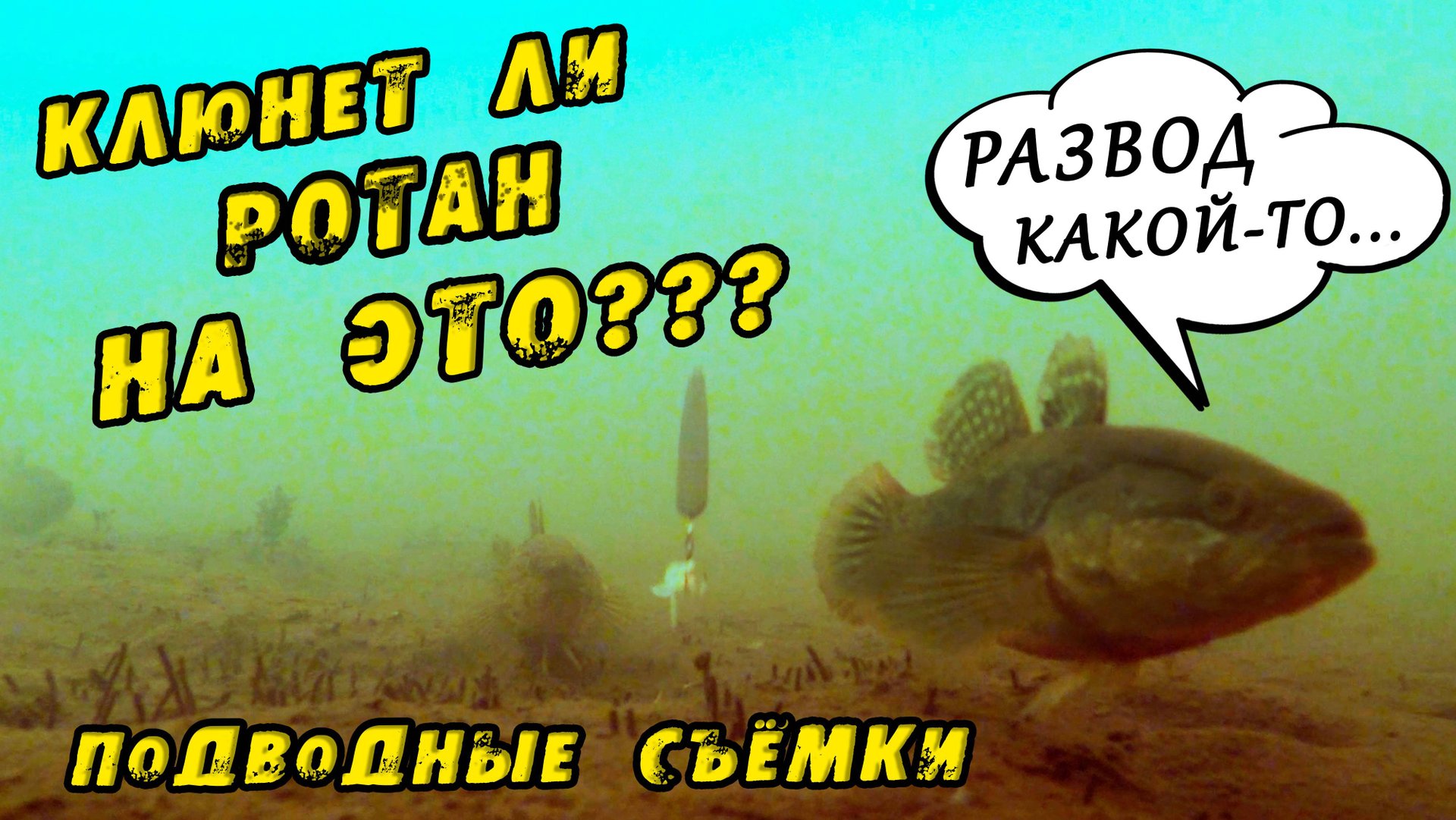 ТАКОЕ РЕДКО УВИДИШЬ! Опустил КАМЕРУ РОТАН берёт СХОДУ на ЭТО!! ПЕРВЫЙ ЛЕД 2022-23! Зимняя рыбалка смотреть онлайн