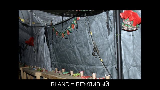 "B" Flashcards: Level 9 - Английский for Russian Speakers. смотреть онлайн