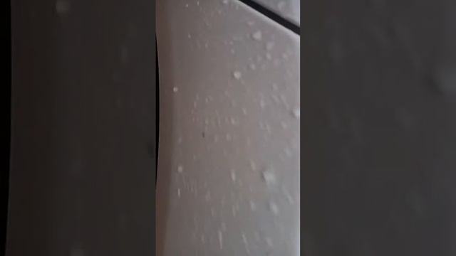 обзор форд фиеста 2011 год